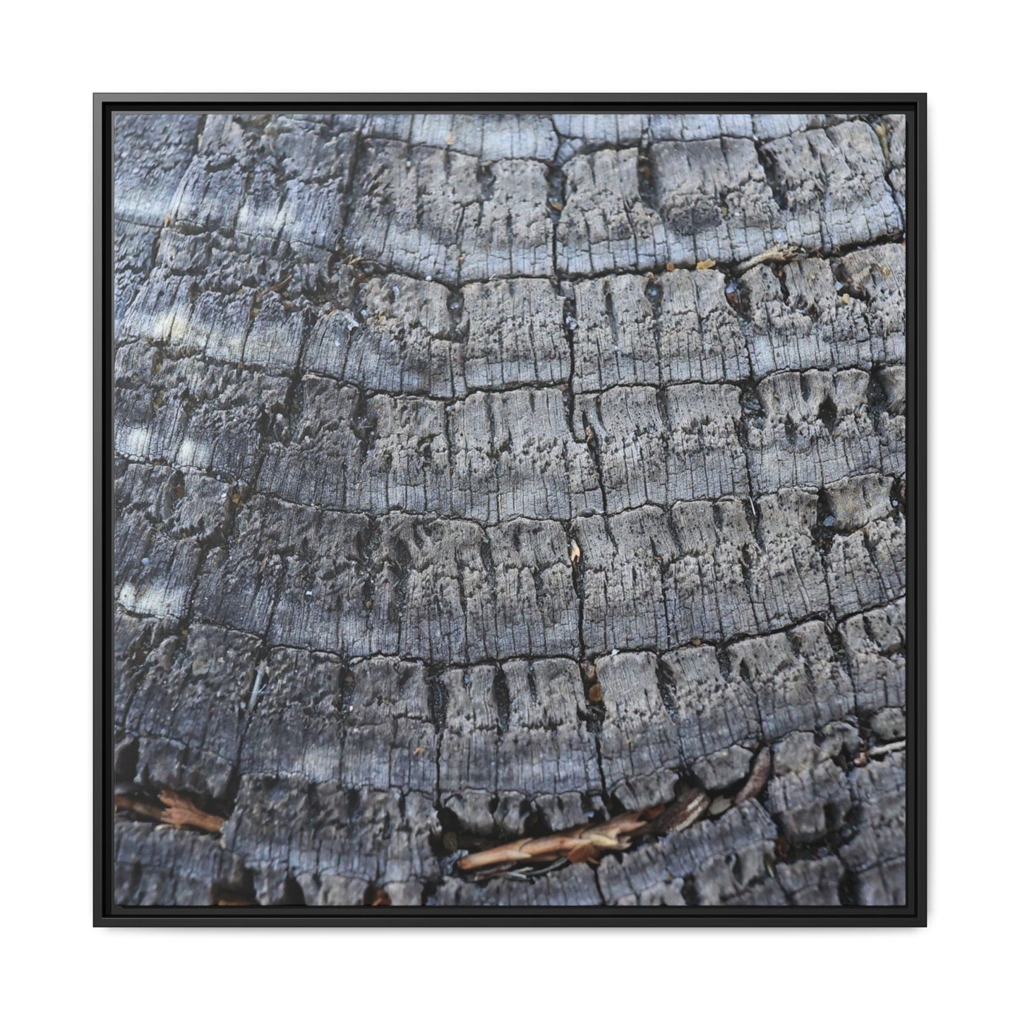 Charred Memories - Unique Stretched Canvas Wall Art