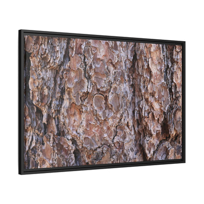 Woody Layers - Unique Stretched Canvas Wall Art
