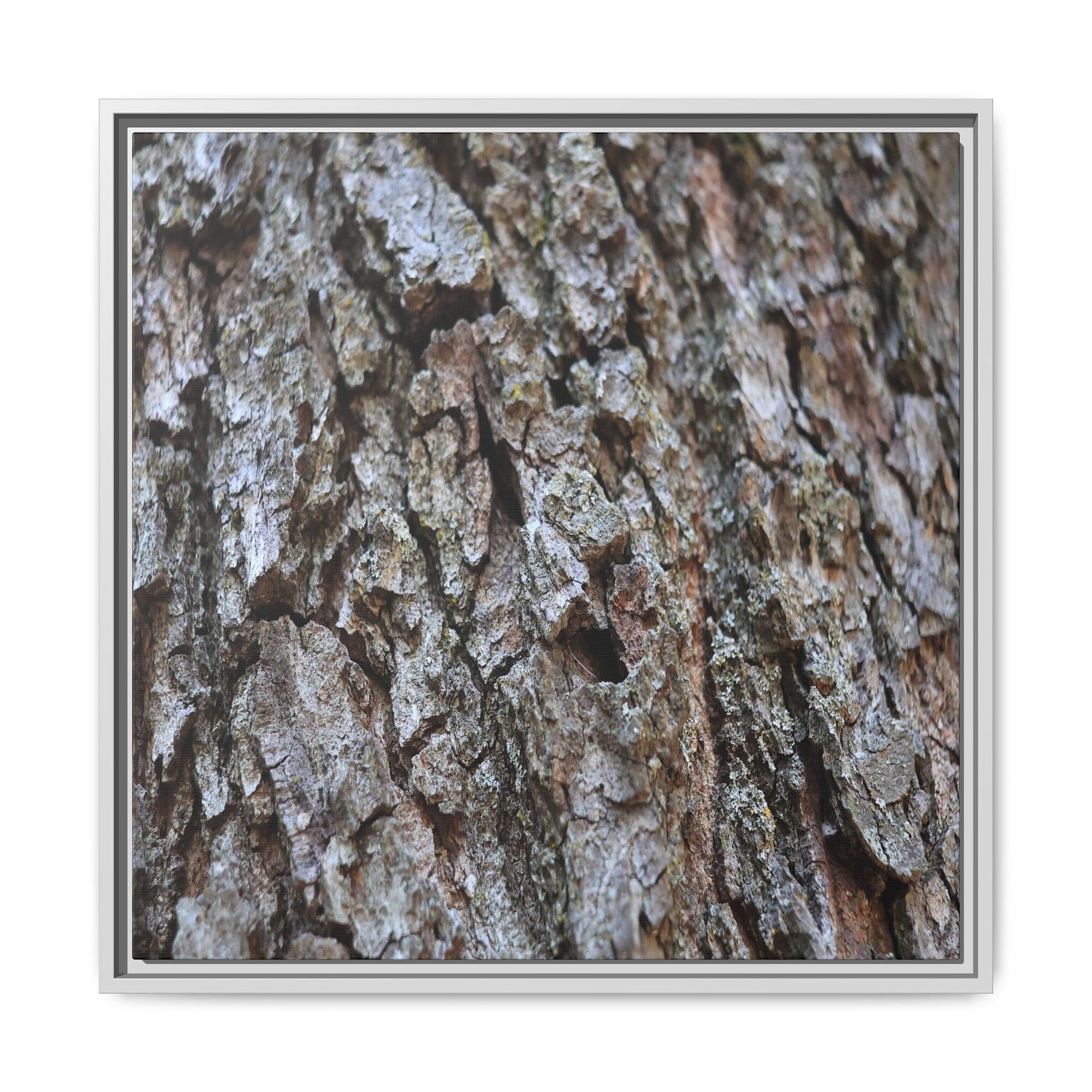 Woodland Canvas - Unique Stretched Canvas Wall Art