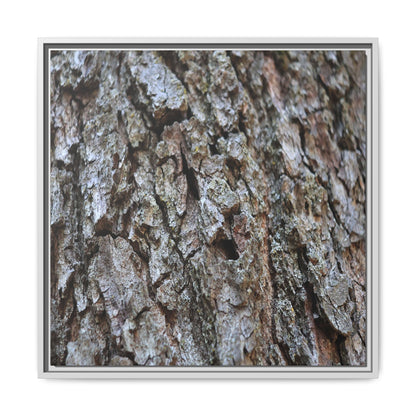 Woodland Canvas - Unique Stretched Canvas Wall Art