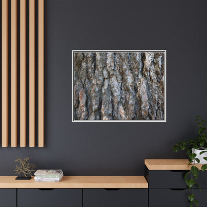 Bark Whispers - Unique Stretched Canvas Wall Art