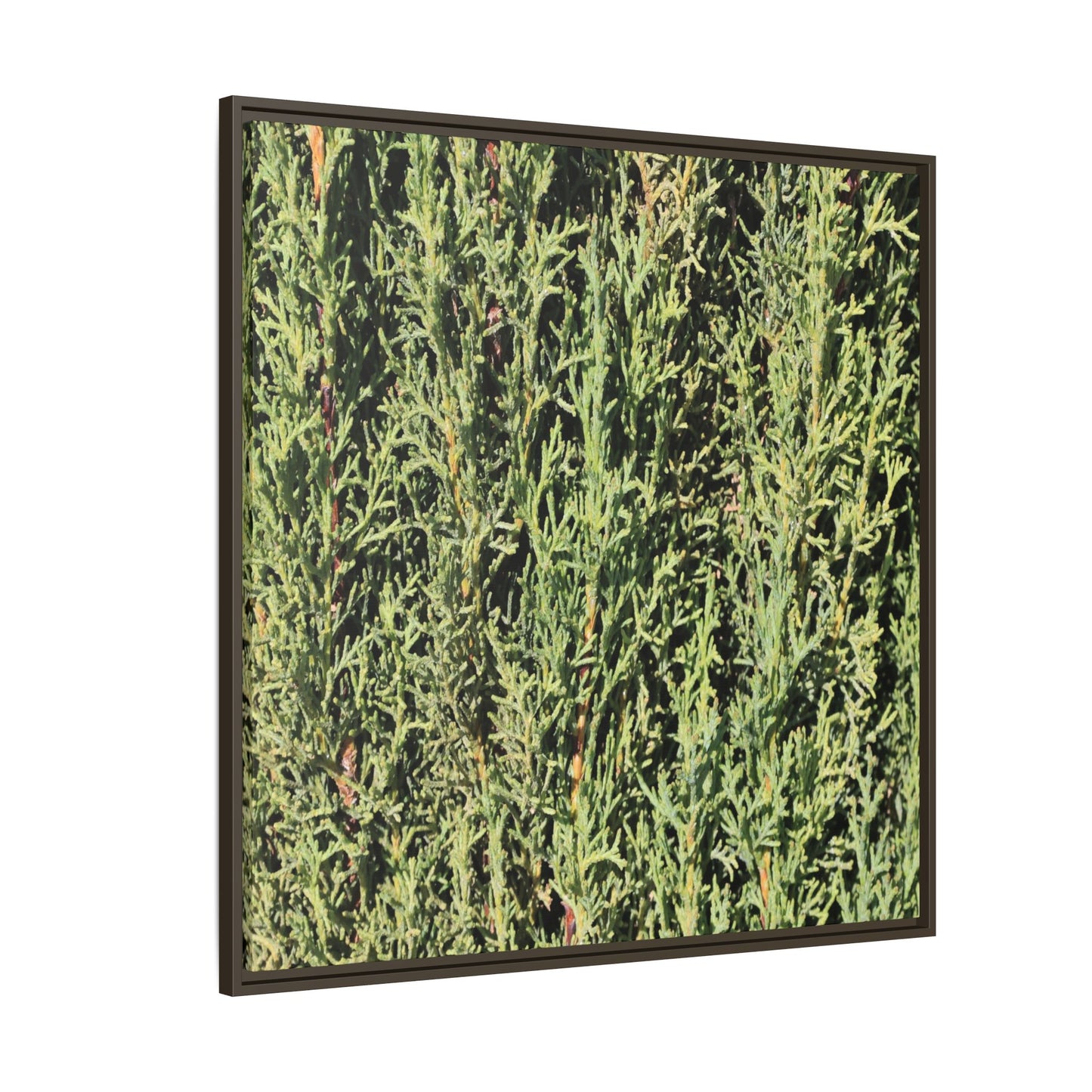 Emerald Labyrinth - Unique Stretched Canvas Wall Art - Art By Earth