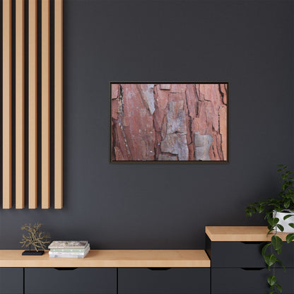 Peeling Bark - Unique Stretched Canvas Wall Art