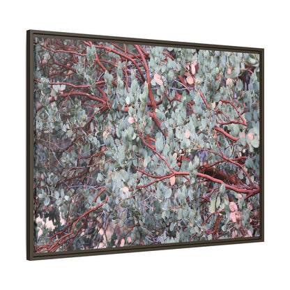 Whispers of Sage - Unique Stretched Canvas Wall Art