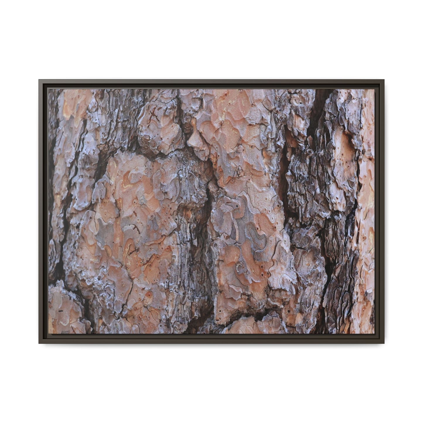Tree Skin Symphony - Unique Stretched Canvas Wall Art