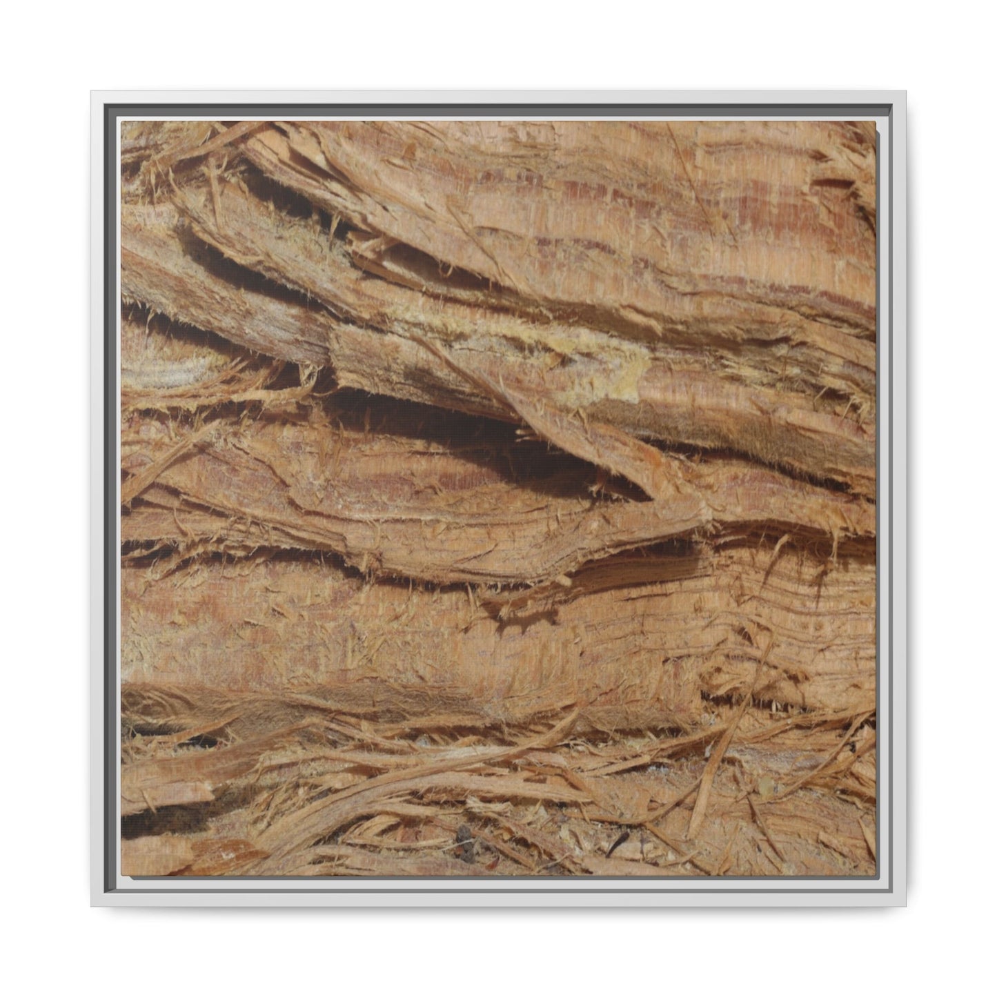 Splintered Bark - Unique Stretched Canvas Wall Art