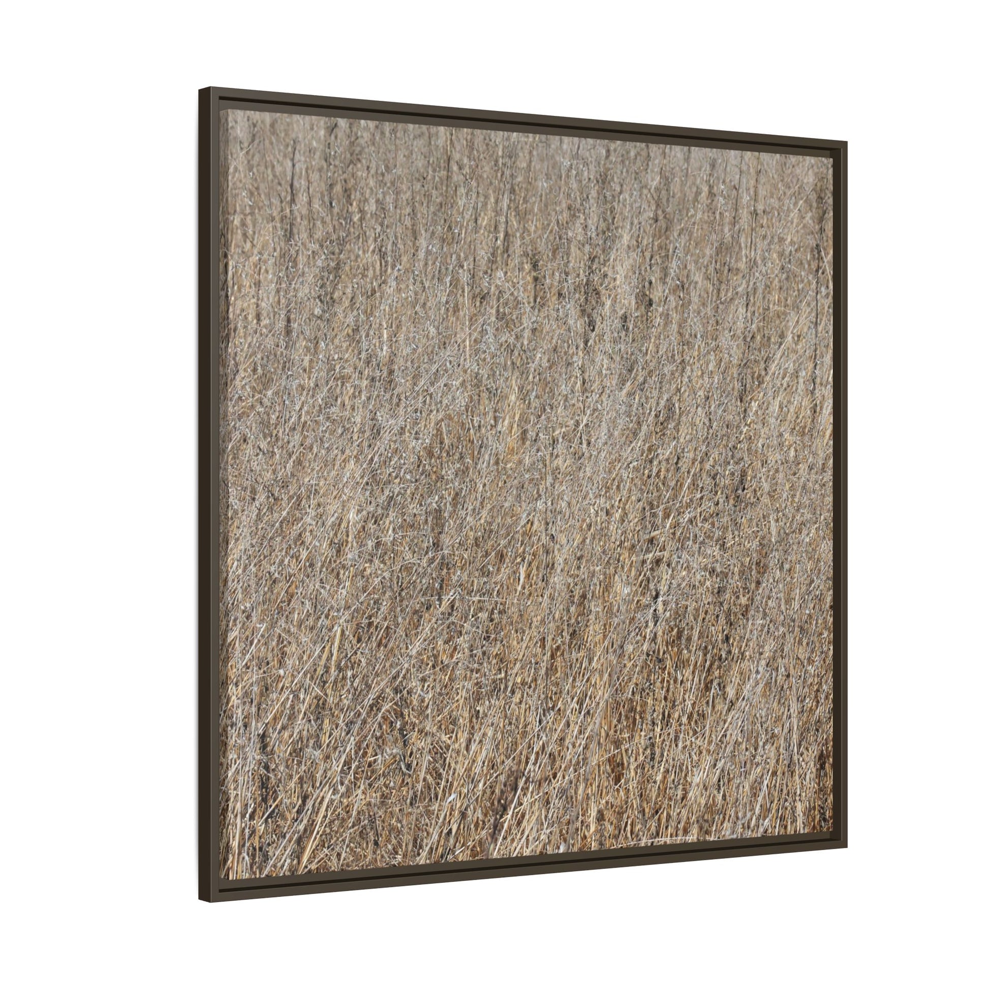 Dry Straw Symphony - Unique Stretched Canvas Wall Art - Art By Earth