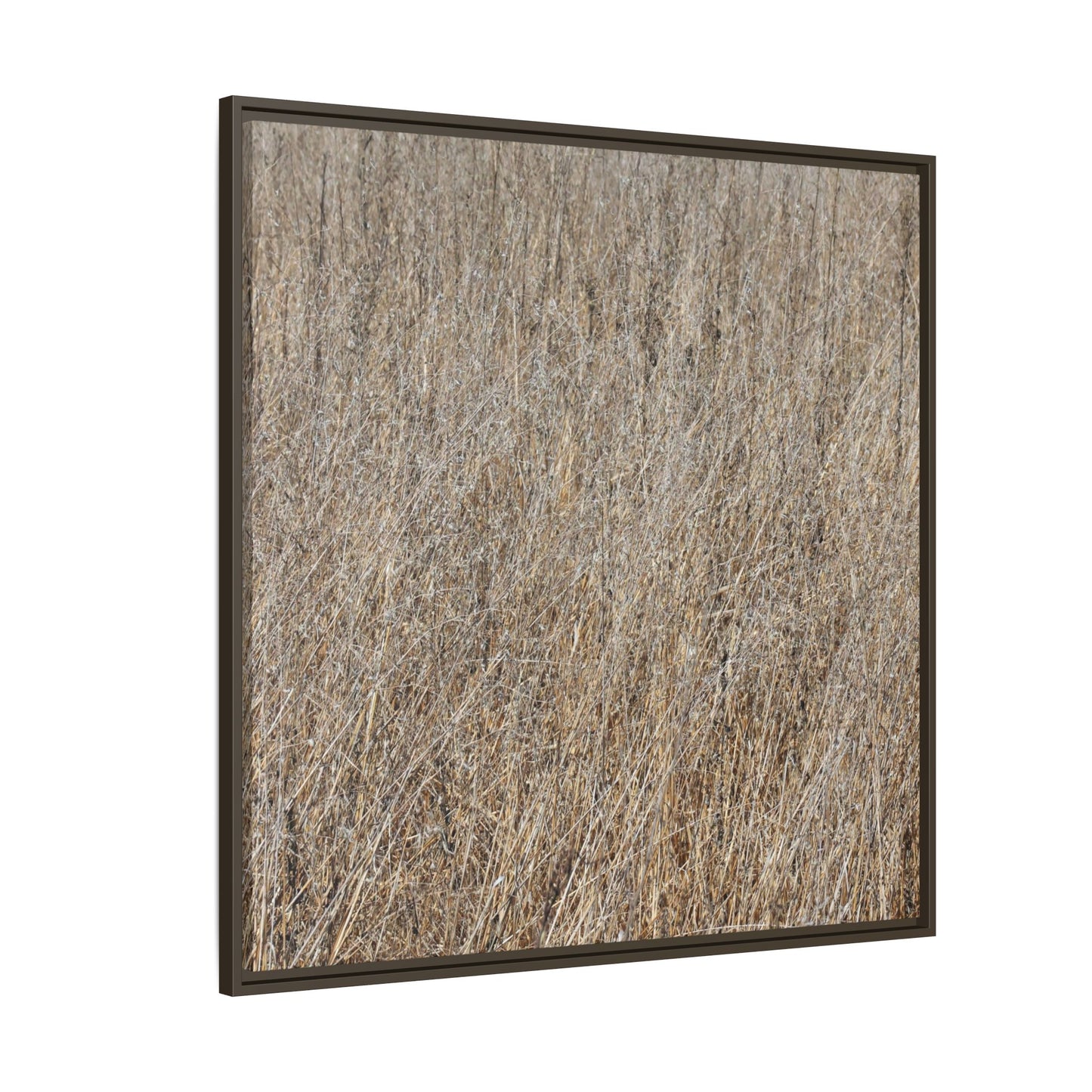 Whispers of Straw - Unique Stretched Canvas Wall Art - Art By Earth