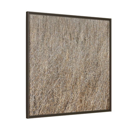 Whispers of Straw - Unique Stretched Canvas Wall Art - Art By Earth