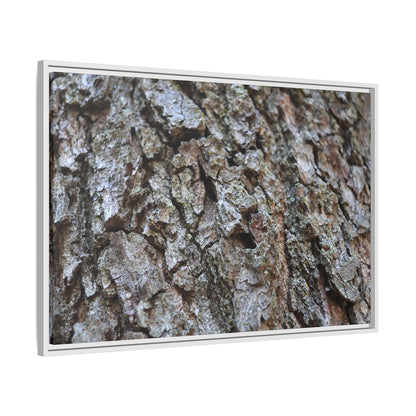 Woodland Canvas - Unique Stretched Canvas Wall Art