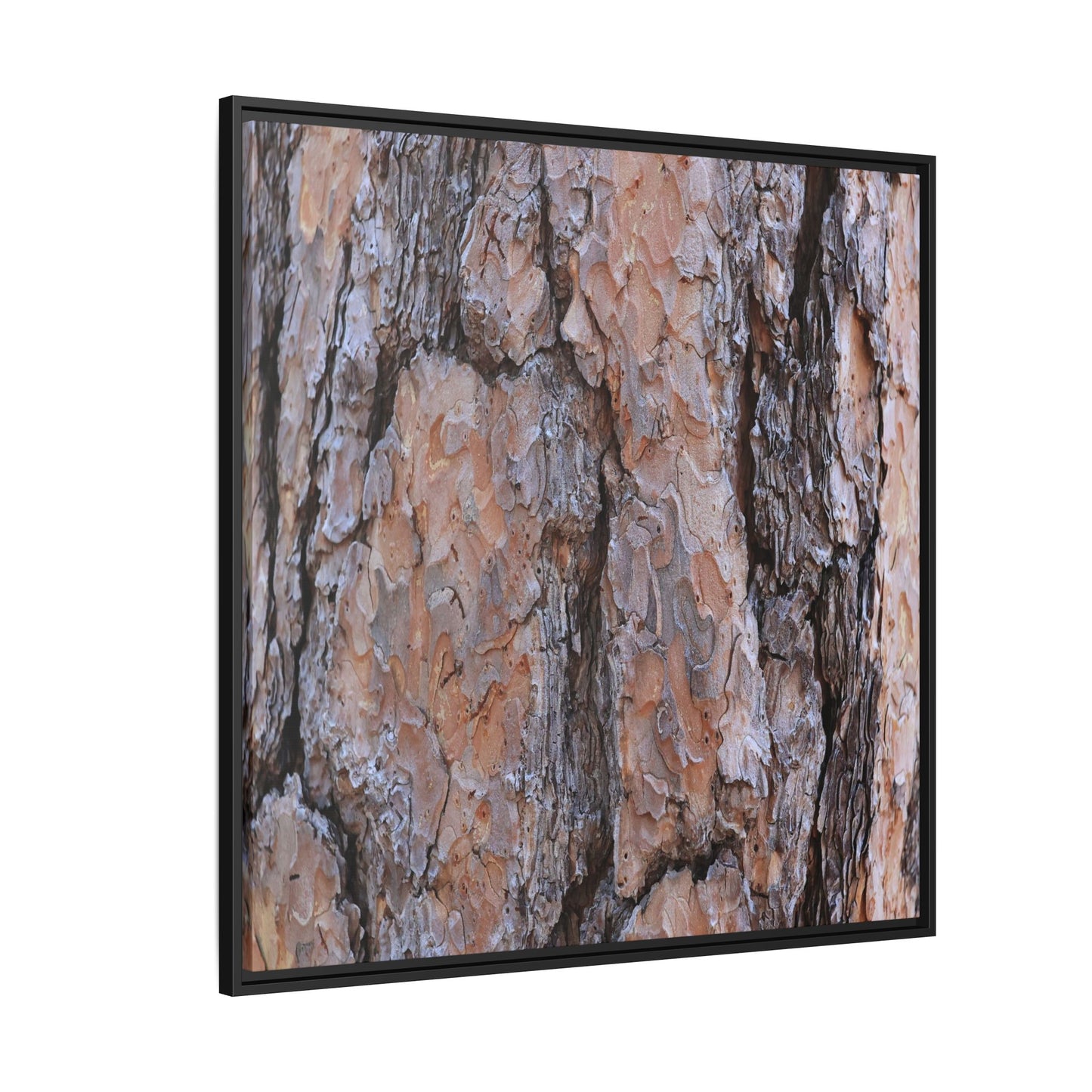 Tree Skin Symphony - Unique Stretched Canvas Wall Art