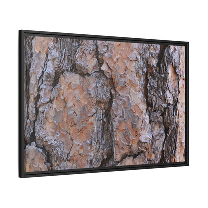 Tree Skin Symphony - Unique Stretched Canvas Wall Art
