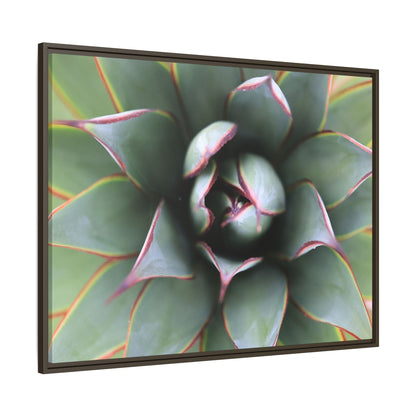 Spiky Elegance - Unique Stretched Canvas Wall Art