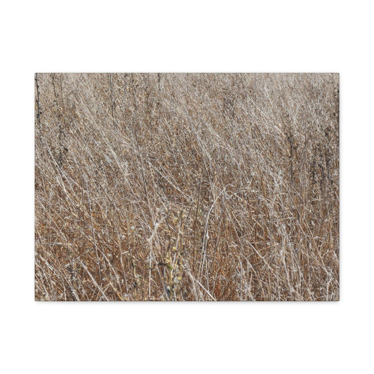 Whispers of Autumn - Unique Frameless Canvas Wall Art - Art By Earth