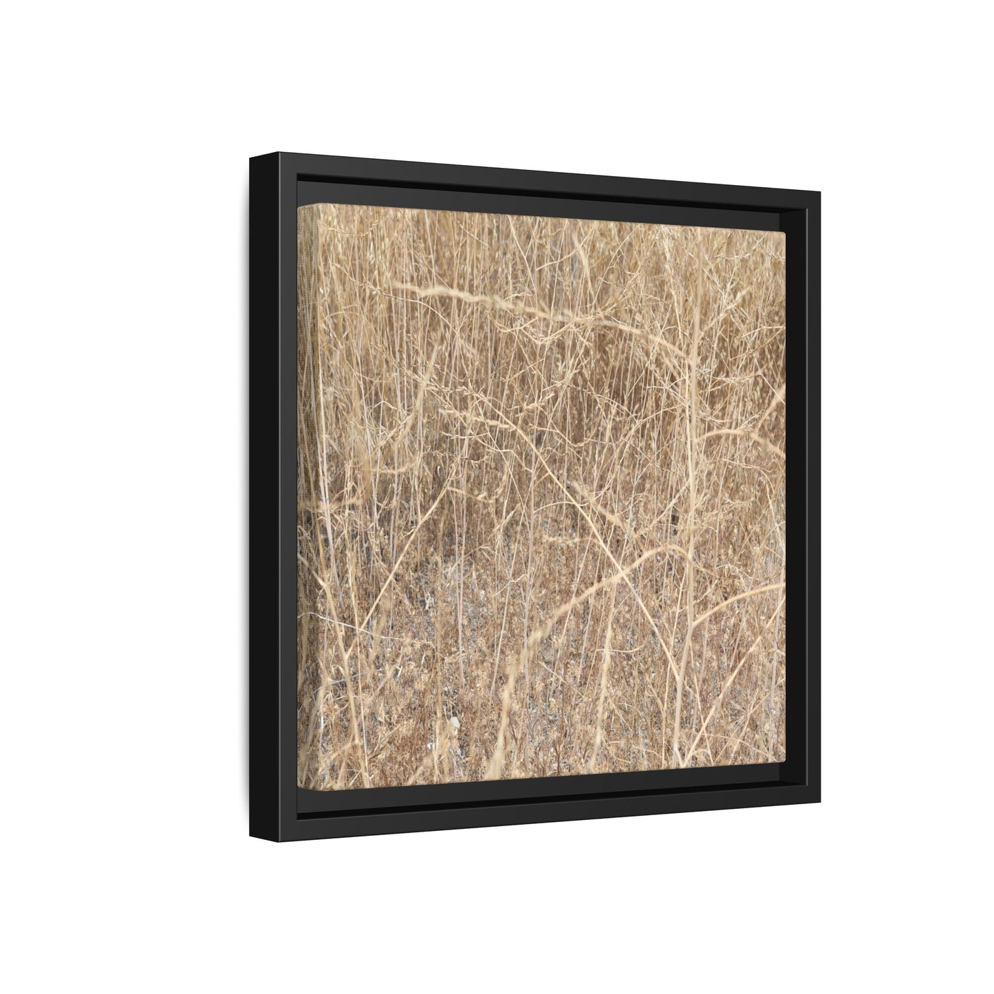 Golden Stalks - Unique Stretched Canvas Wall Art