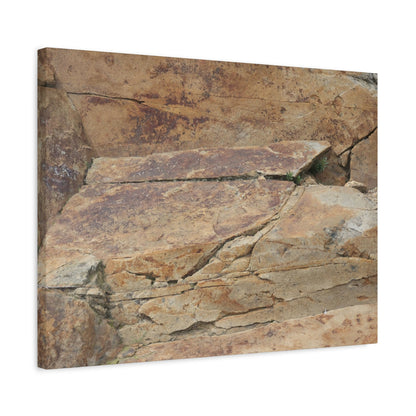 Rocky Terrain - Unique Frameless Canvas Wall Art