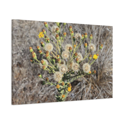 Whispers of the Dry Meadow - Unique Stretched Canvas Wall Art - Art By Earth