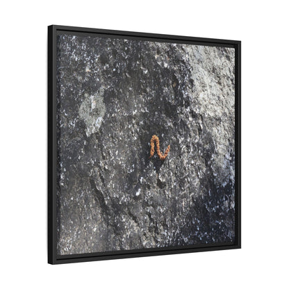 Volcanic Ash and Copper - Unique Stretched Canvas Wall Art