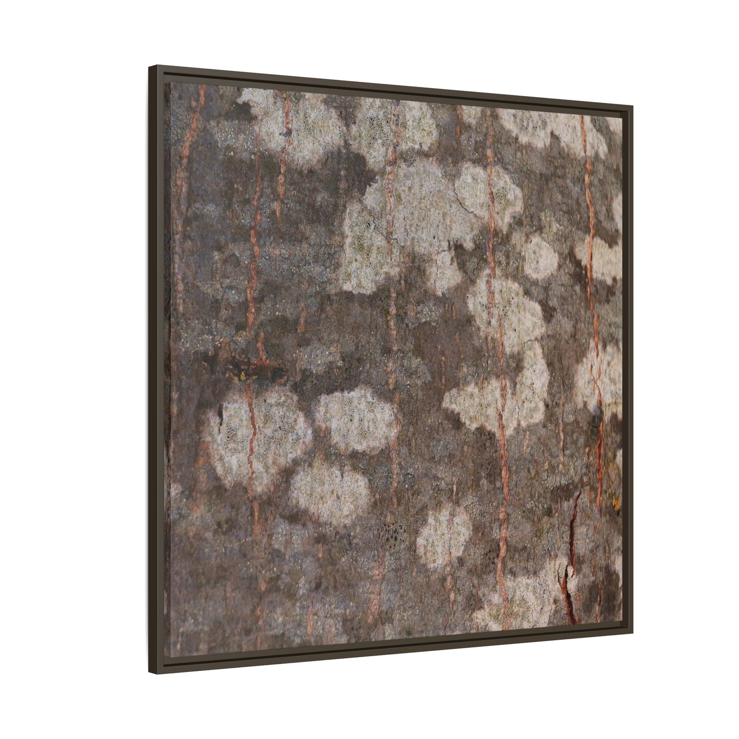 Lichen's Legacy - Unique Stretched Canvas Wall Art