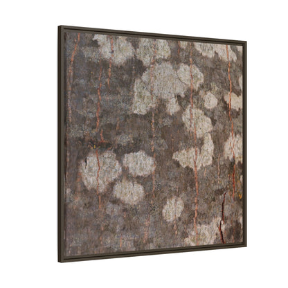 Lichen's Legacy - Unique Stretched Canvas Wall Art