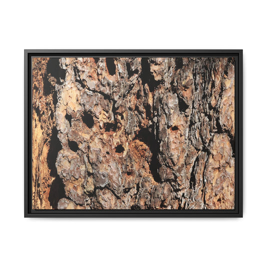 Rugged Rhythms - Unique Stretched Canvas Wall Art