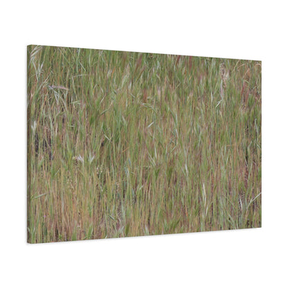 Whispers of the Prairie - Unique Frameless Canvas Wall Art