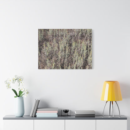 Whispers in the Sage - Unique Stretched Canvas Wall Art - Art By Earth