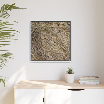 Tangled Grass Symphony - Unique Stretched Canvas Wall Art - Art By Earth
