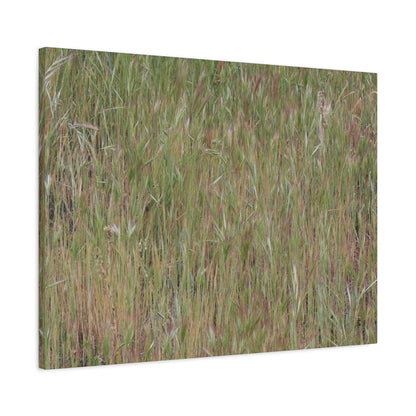 Whispers of the Prairie - Unique Frameless Canvas Wall Art