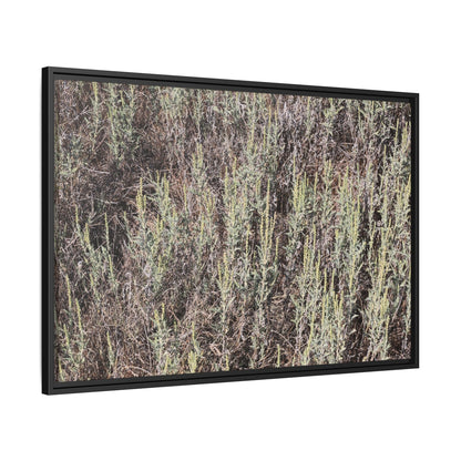 Sage Fields Forever - Unique Stretched Canvas Wall Art - Art By Earth