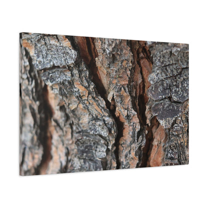 Rough Whispers - Unique Frameless Canvas Wall Art