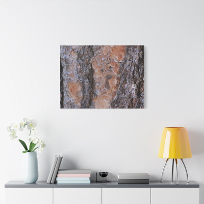 Terracotta Textures - Unique Frameless Canvas Wall Art