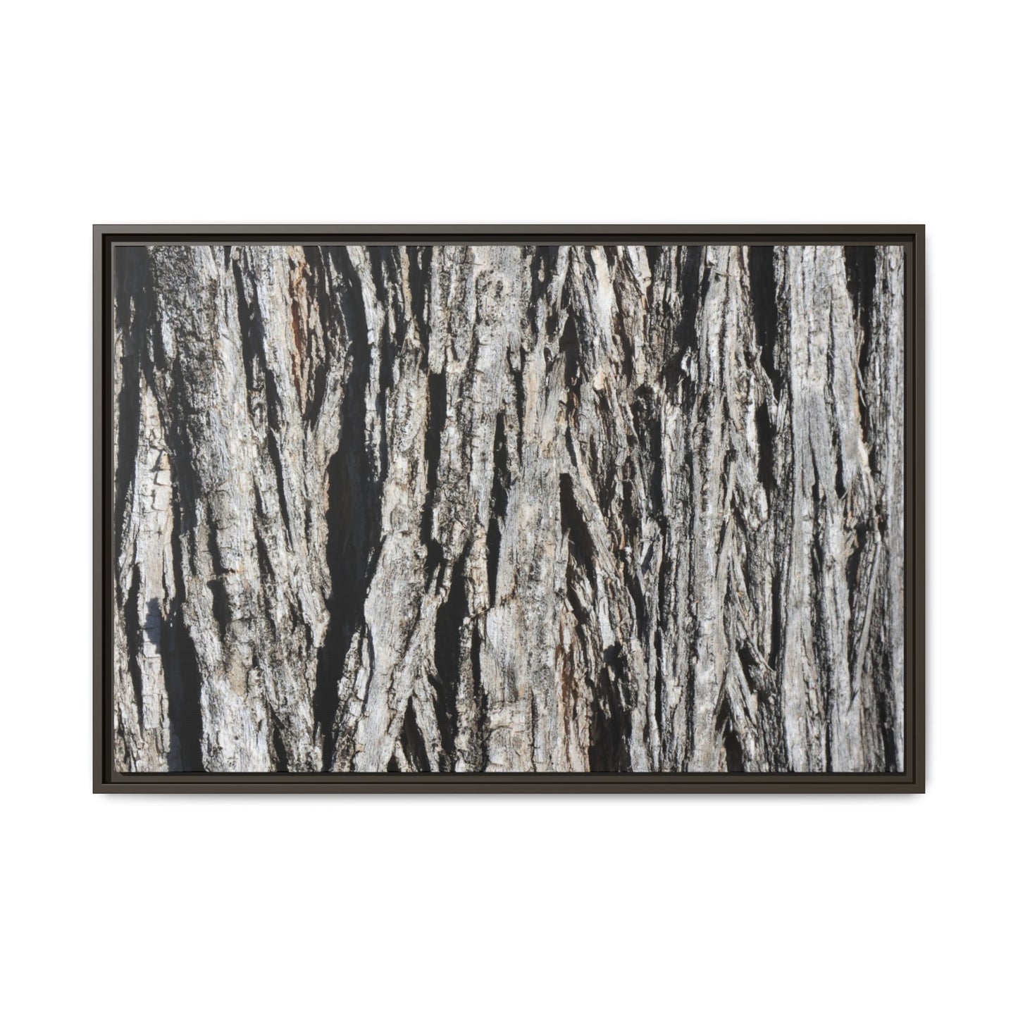 Nature's Abstract - Unique Stretched Canvas Wall Art