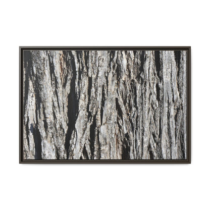 Nature's Abstract - Unique Stretched Canvas Wall Art