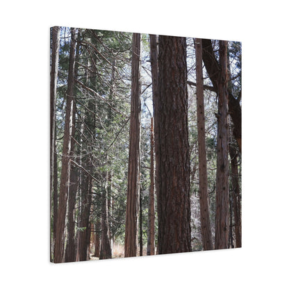 Vertical Sentinels - Unique Frameless Canvas Wall Art