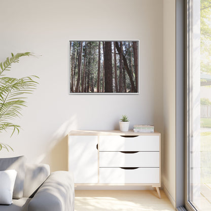 Forest Cathedral - Unique Stretched Canvas Wall Art