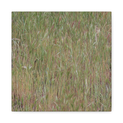 Whispers of the Prairie - Unique Frameless Canvas Wall Art