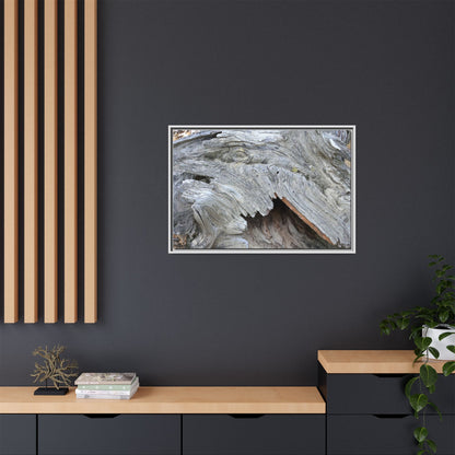 Driftwood Dreams - Unique Stretched Canvas Wall Art