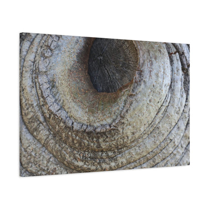 Bark's Eye - Unique Frameless Canvas Wall Art