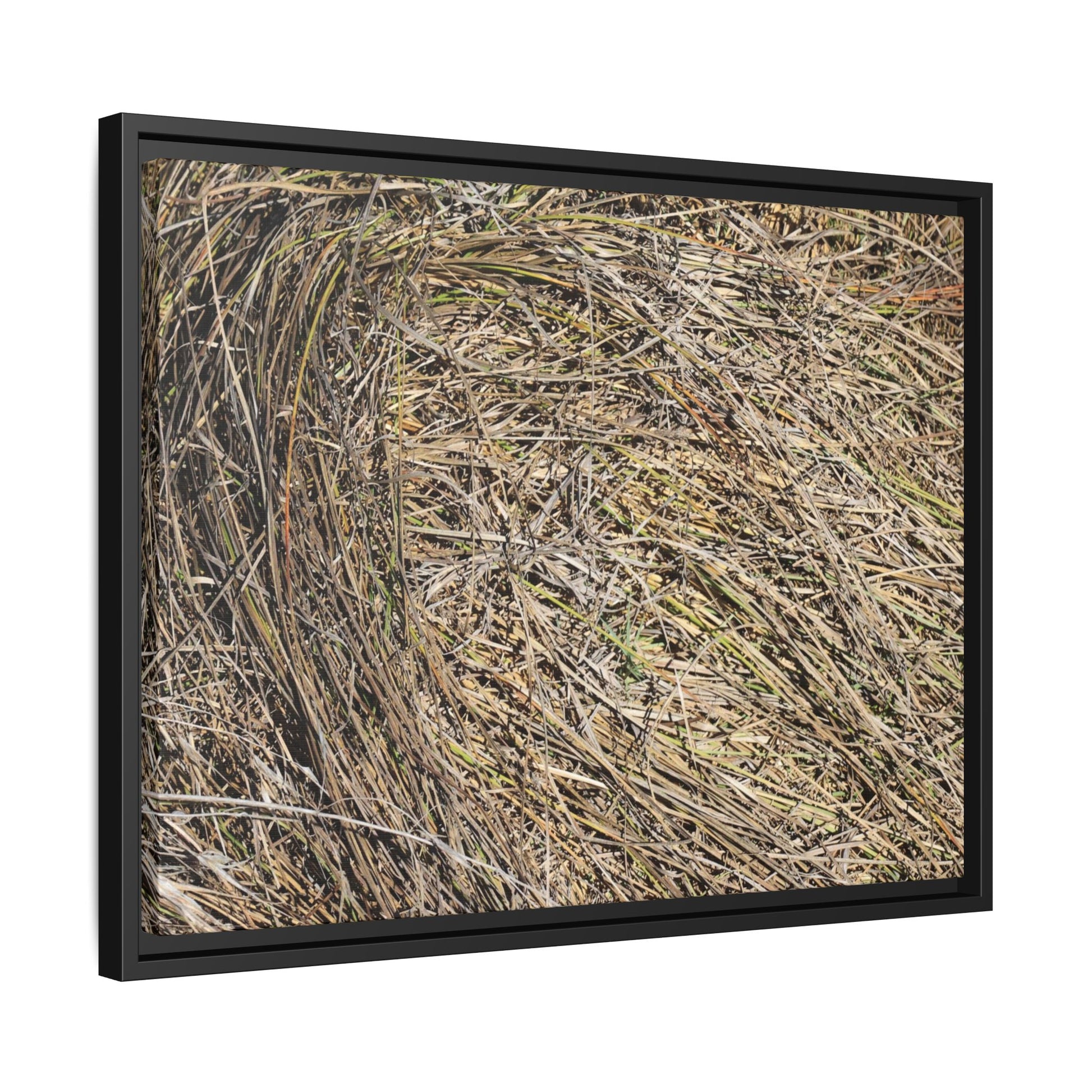 Tangled Grass Symphony - Unique Stretched Canvas Wall Art - Art By Earth