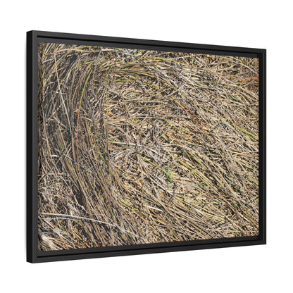 Tangled Grass Symphony - Unique Stretched Canvas Wall Art - Art By Earth