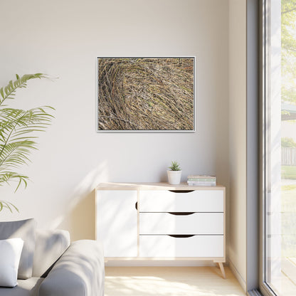 Tangled Grass Symphony - Unique Stretched Canvas Wall Art - Art By Earth