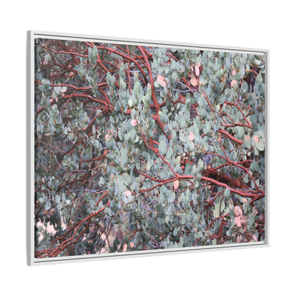 Whispers of Sage - Unique Stretched Canvas Wall Art