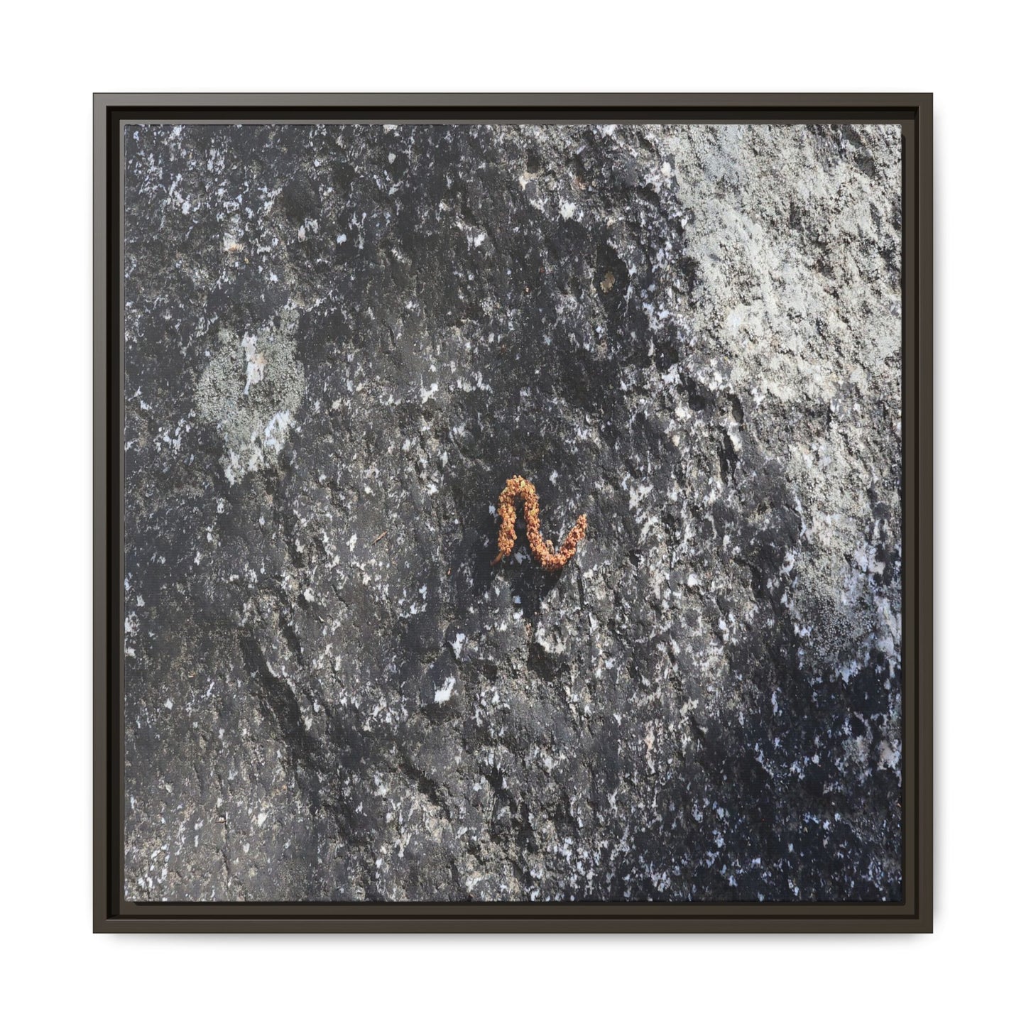 Volcanic Ash and Copper - Unique Stretched Canvas Wall Art