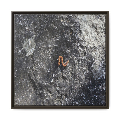 Volcanic Ash and Copper - Unique Stretched Canvas Wall Art