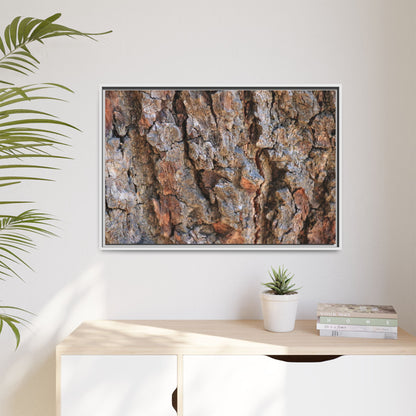 Craggy Textures - Unique Stretched Canvas Wall Art