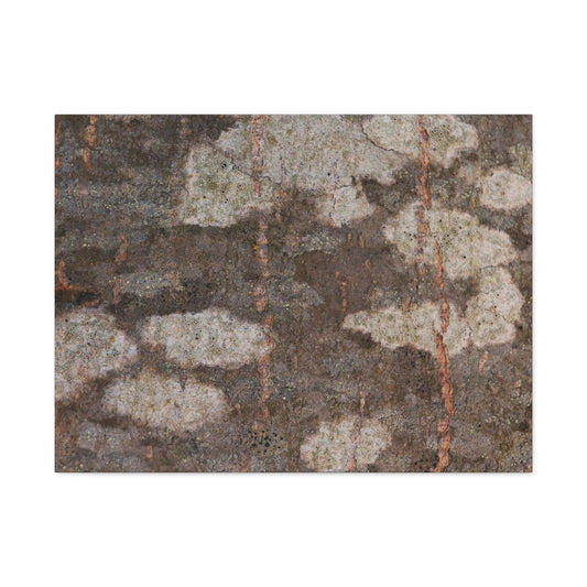 Earthen Memoir - Unique Frameless Canvas Wall Art