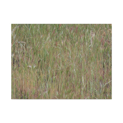 Whispers of the Prairie - Unique Frameless Canvas Wall Art
