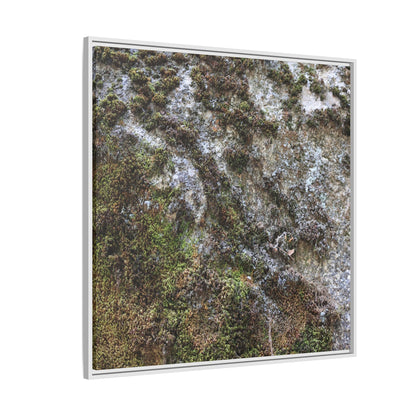 Mossy Whispers - Unique Stretched Canvas Wall Art