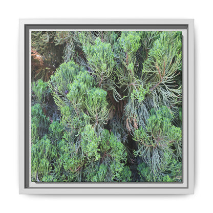 Verdant Whispers - Unique Stretched Canvas Wall Art